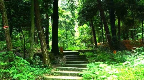 重庆这几处最美登山道，等你去打卡，哪个才是最美的呢？