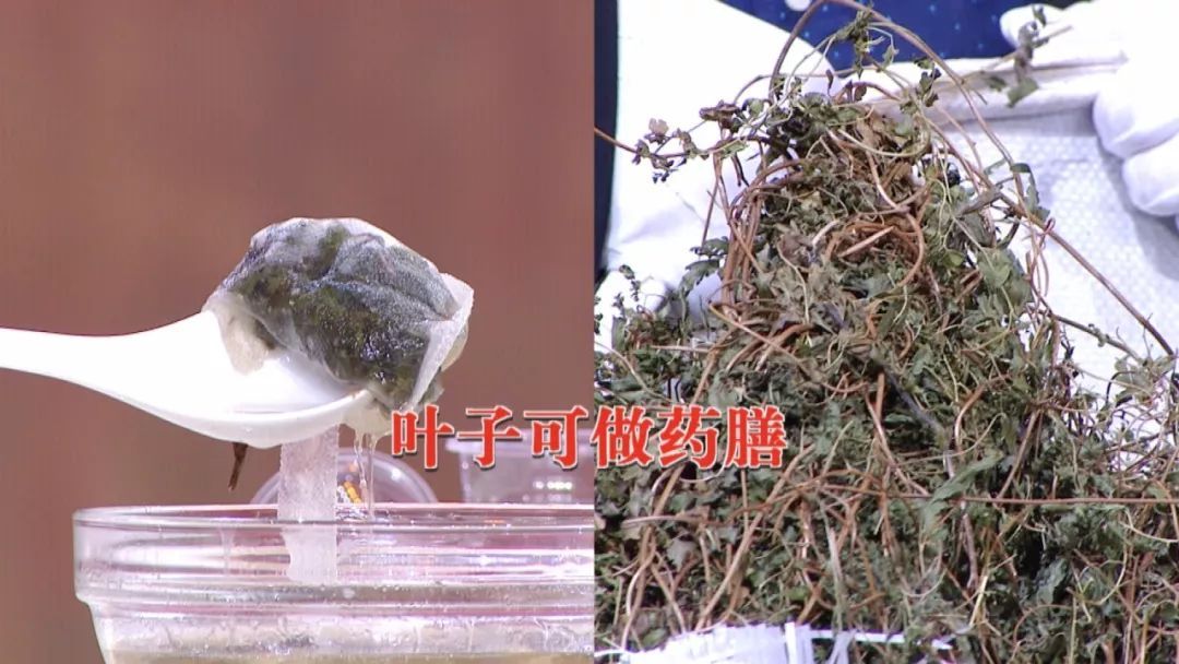 利尿排石|这类食材嘌呤高！一草一粥巧搭配，帮你排尿酸、缓痛风！