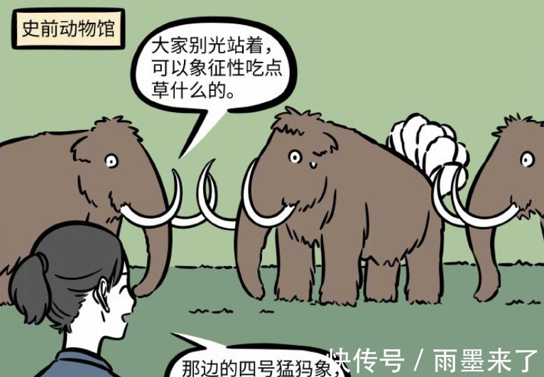 九月|非人哉:曾经的九月卑微应聘,如今还要收起尾巴扮象,这就是生活
