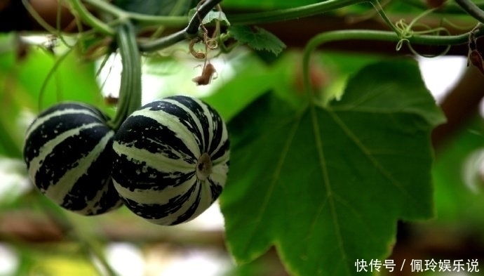 鬼谷子识人术一个人有没有出息,看这三点就够了