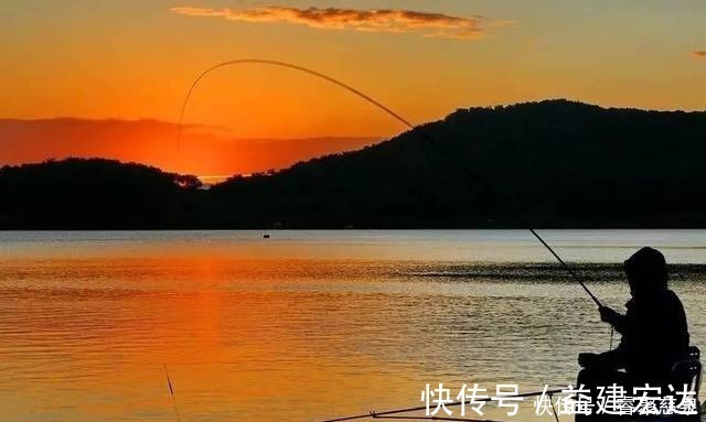 钓鱼|他野钓钓到六斤鲫鱼王，一看竟是“太监鲫鱼”这究竟是谁的功劳