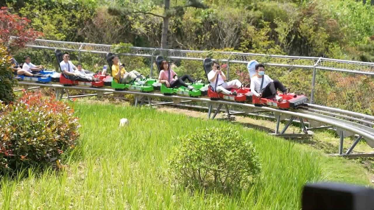 乐清|石斛花当选雁荡山山花 小花朵开出大产业