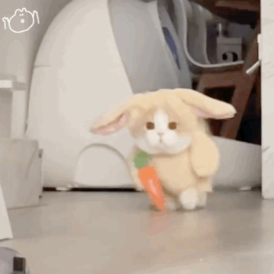 |搞笑表情包|来嘛~