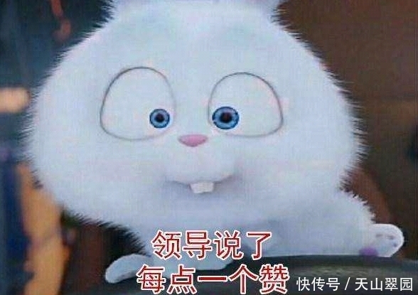 大开眼界的钓鱼方式,贫穷限制了我的想象力!