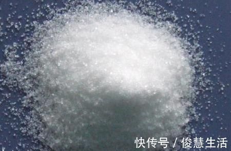 花卉|养花不开花?浇水加点料,用量精准,满枝开花,错一点后患大