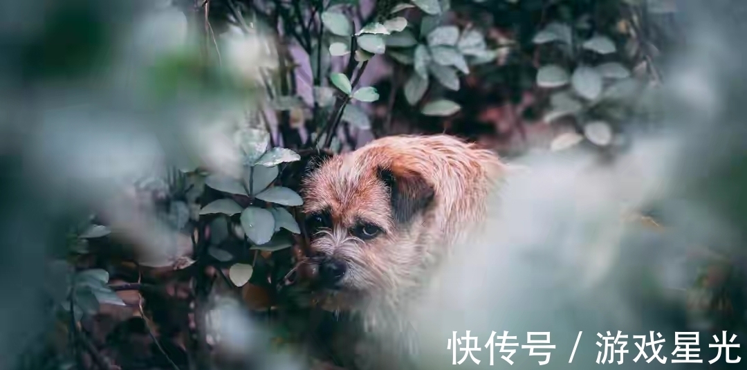 李峤#写风的诗,我心中第一的居然不带“风”字