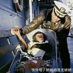 1961年，美国将一黑猩猩送上太空，回到地面后不久才发现不对劲