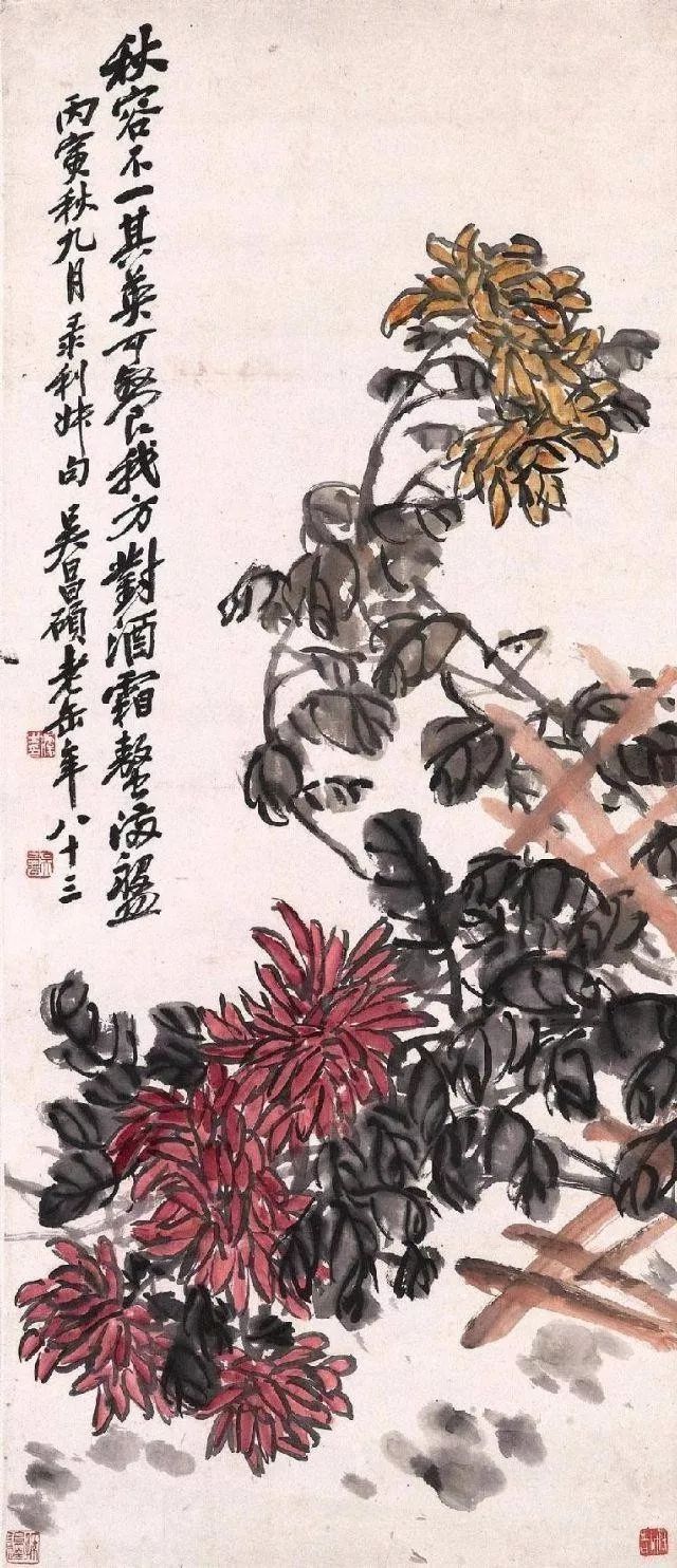 吴昌硕#吴昌硕画菊花，大朴大雅