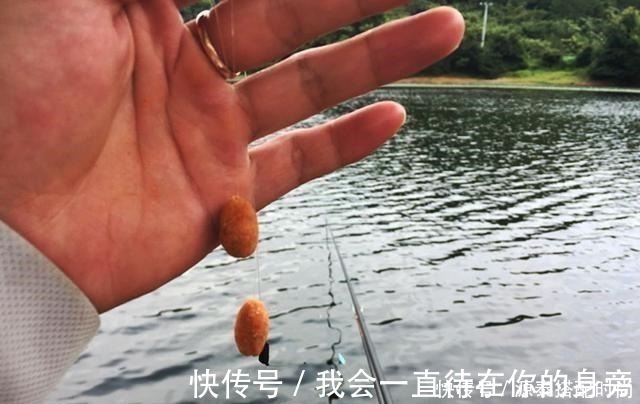 鱼钩|上饵时需要包住鱼钩吗不包住对钓鱼有没有影响困惑的看这