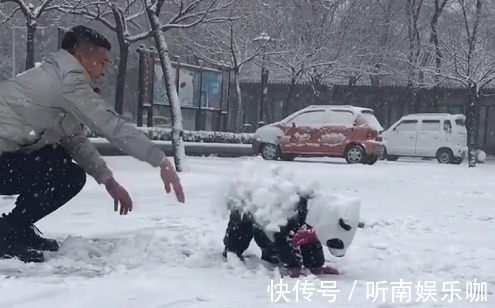 宝妈|“最无情奶爸”带娃玩雪走红，奶奶提着30米大刀在赶来的路上