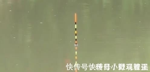 夏天钓鲫鱼学会这几招，轻松避开小鲫鱼，咬钩的全是大板鲫