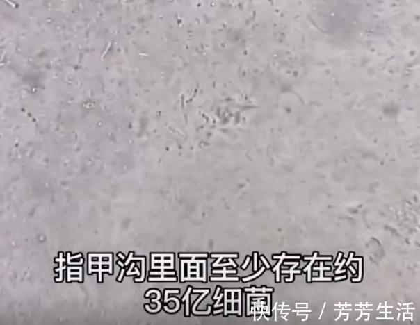 恶性循环|孩子喜欢啃指甲,妈妈别不当回事儿,细菌可多了!