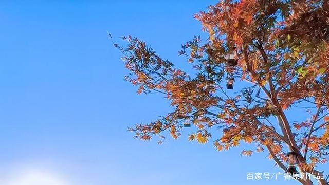 人间#初入人间不知苦,回首已是苦中人