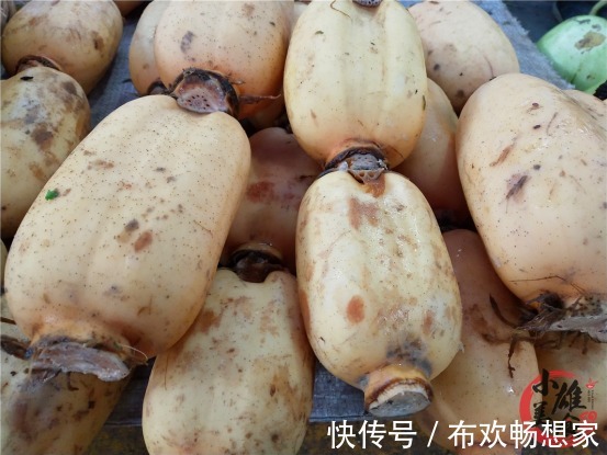 莲藕一焯水就变黑大厨牢记一招，保证藕片白净爽脆，更入味