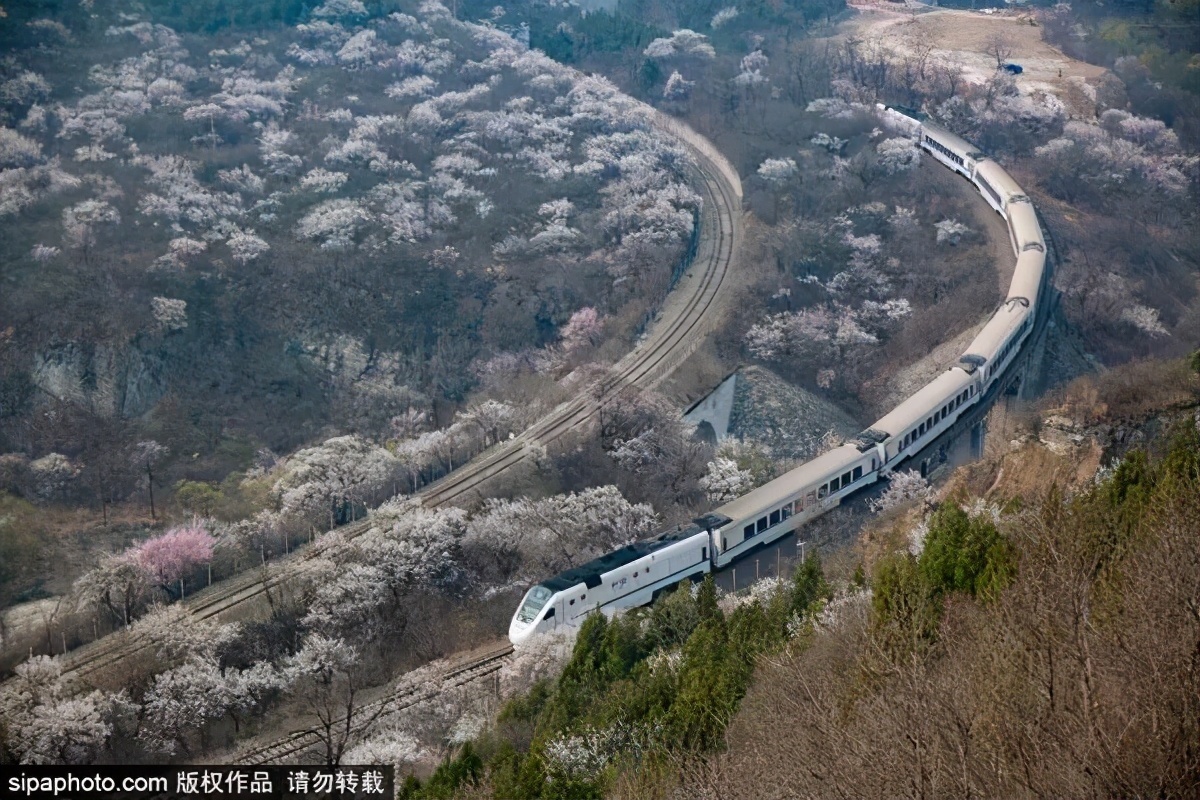 细“鼠”点滴:极不平凡的2020年,看完竟然默默流泪了!