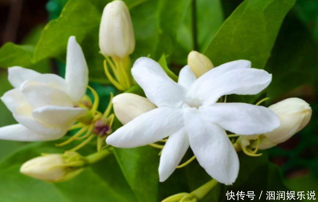 中年人可以多吃3种食物,补充营养、延缓衰老,身体棒棒哒!