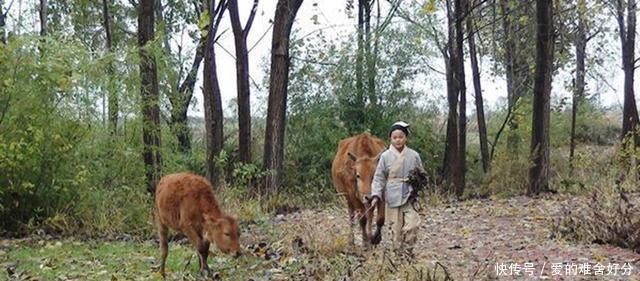 认定|朱元璋放牛时睡觉,无意摆出两个姿势,刘伯温就认定他能当皇帝