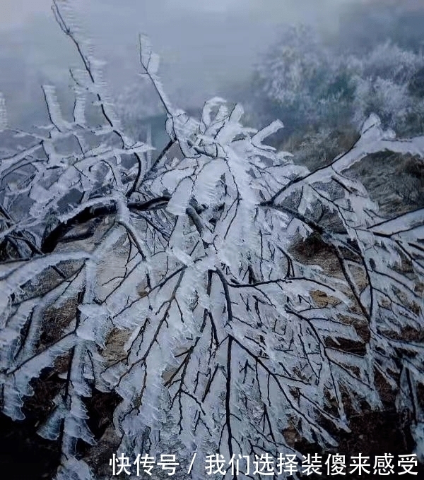 美丽“冻”人，快来“云”赏雪！看绝美铜钹山！