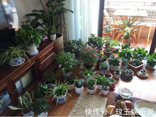 阳台|媳妇装新房,卫生间砌“半墙”,阳台成“绿森林”,被邻居赞爆了