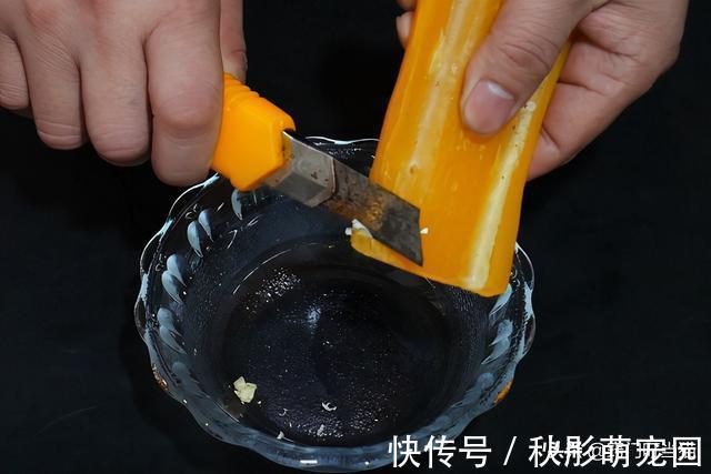 妙招|洗床单时，在洗衣机里倒一碗“水”，再脏的床单也能洗得干净如新