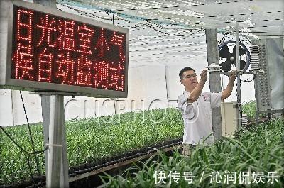 虫子|家里无论养啥花,提前做“3步”,以后虫子少、不烂根