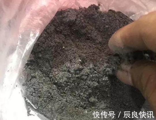 自制|养花缺少磷钾肥学会自制技巧,往花盆里放一点养啥植物都旺