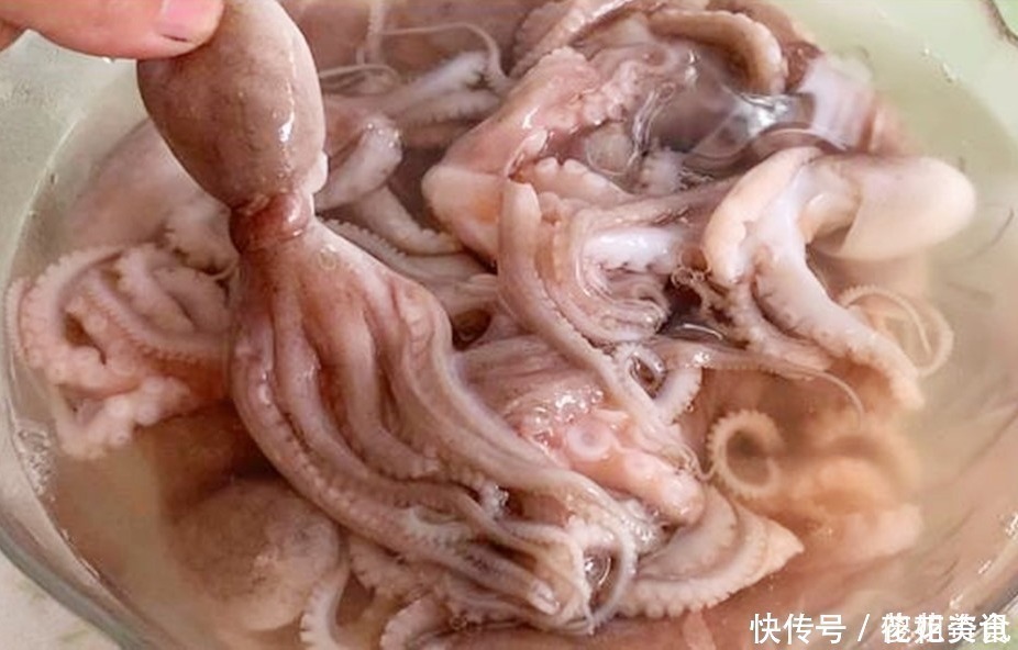 正确做法|“八爪鱼”一煮就老，很多人错了，海边人教你正确做法，清脆鲜嫩