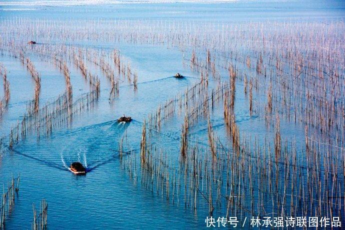 霞浦滩涂-沙江