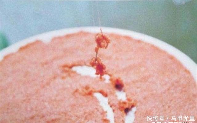 这些饵料被很多黑坑禁用,野钓时可以随便用,鱼口好到“离谱”