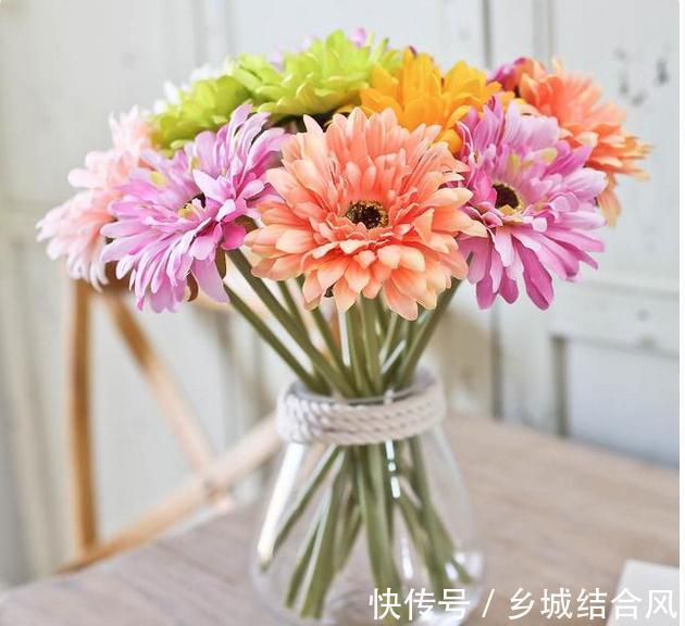 最适合春天养的8种花,最后一种又叫不死花