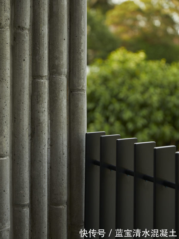 林氏|竹纹清水混凝土建筑:新西兰林氏住宅