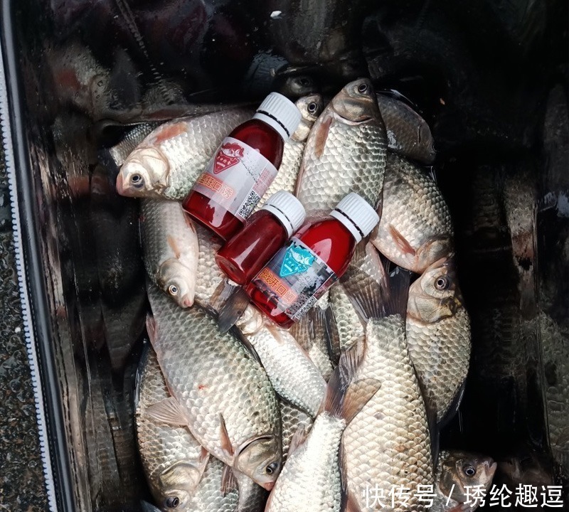 钓鱼|蚯蚓钓鱼早不灵了!看野钓大王都用这玩意,一次半瓶盖,天天爆护