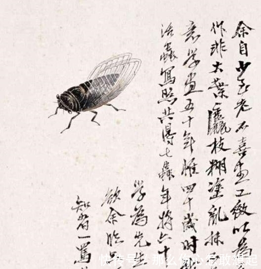 实齐白|齐白石画的“蝉”为何价值8亿?专家:放大30倍就明白了!