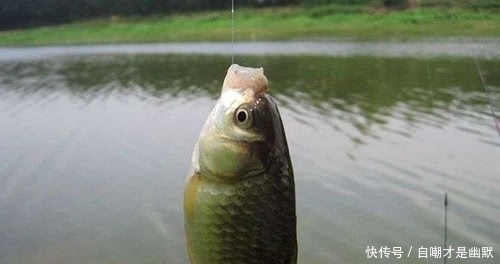 透露|冬钓不会调漂?老钓友首次透露调漂三大原则,钓友:怎么现在才说