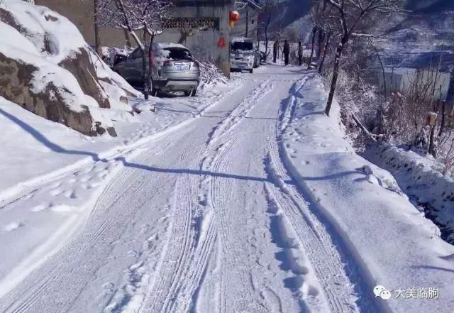 临朐的雪，看看俊不俊？