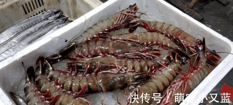 黄海|中国四个海哪个海里的海鲜好吃，为什么？