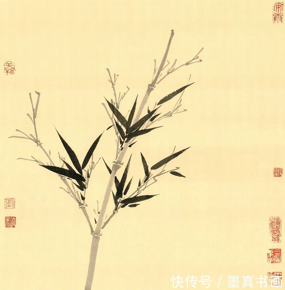 墨竹谱|「张楠」|丹青追梦 水墨本色-中国当代书画名家个人云展览