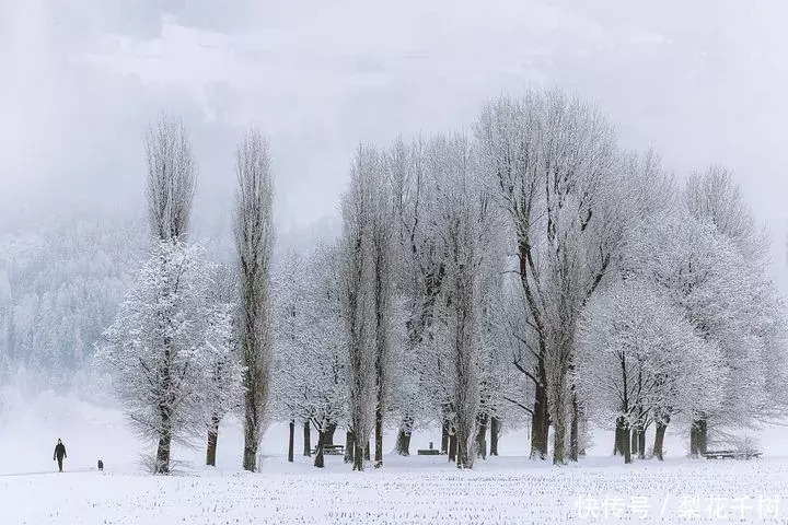 有一种雪，只属于中国，下在了江南