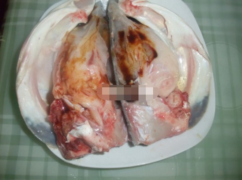 这菜骨头比肉多,却卖得比肉还贵,这样做鲜香美味,下饭又下酒