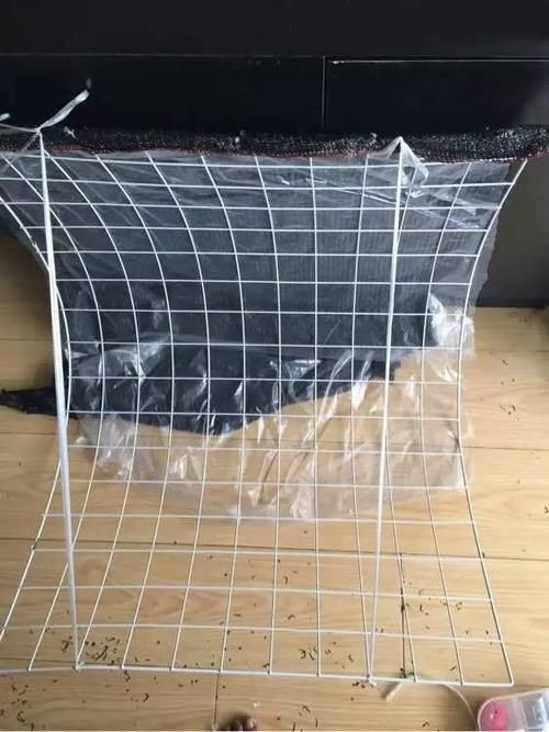 家里的多肉不抗晒，室外气温未至28度，养花人就得这么打算