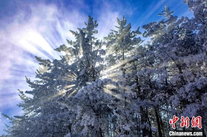 下雪景|2022年首场降雪 来看六盘山下的“水墨画”