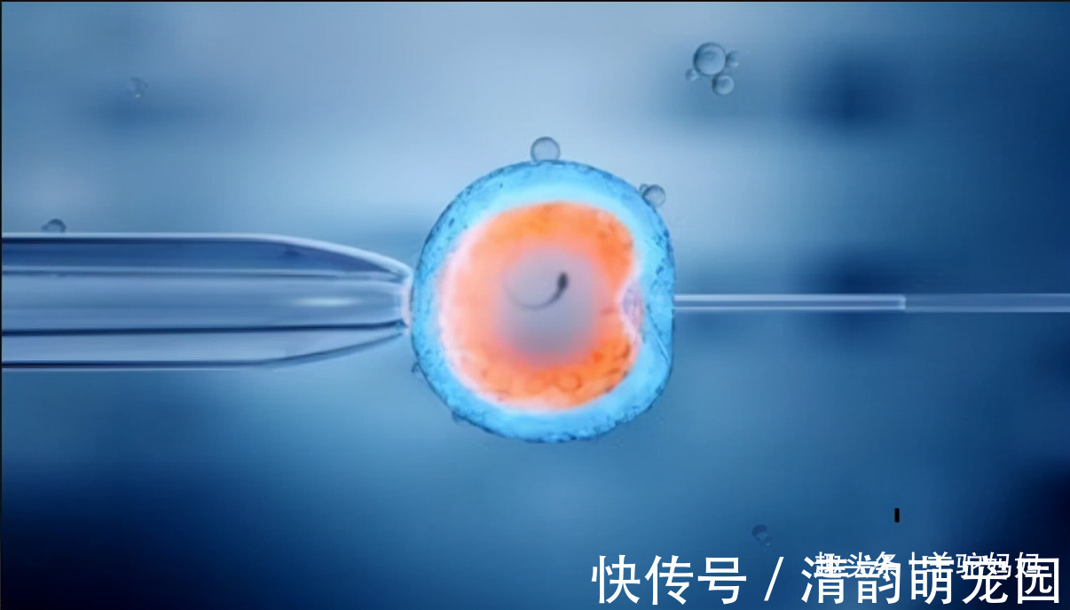 不孕不育|为啥很多人宁愿花10万做试管,也不愿意领养孩子?答案很现实