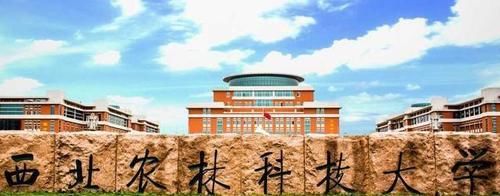 这九所“世界一流大学建设高校”没有A+学科 ，谁能率先突破呢？