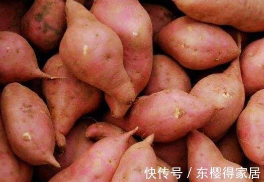 红薯|以下4种食物长寿老人天天吃,每天吃一口,癌细胞离你越来越远!