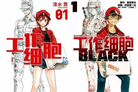 一月新番《工作细胞BLACK》，看完它你一定会更爱惜自己！