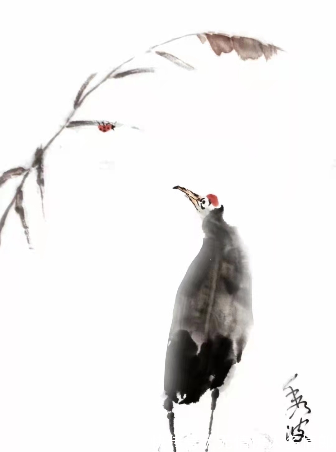 写意花鸟画@于秀波大写意国画 意境深邃 气韵灵动