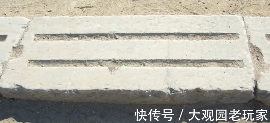 进化史|奥林匹克的标准进化史