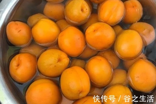 杏子|天热这碱性水果要多吃,一次性买5斤,晒干囤着,随时吃随时取!
