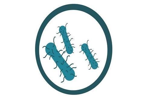 毛巾|生活中的一些好习惯看似卫生，其实很不卫生，你占了几个？