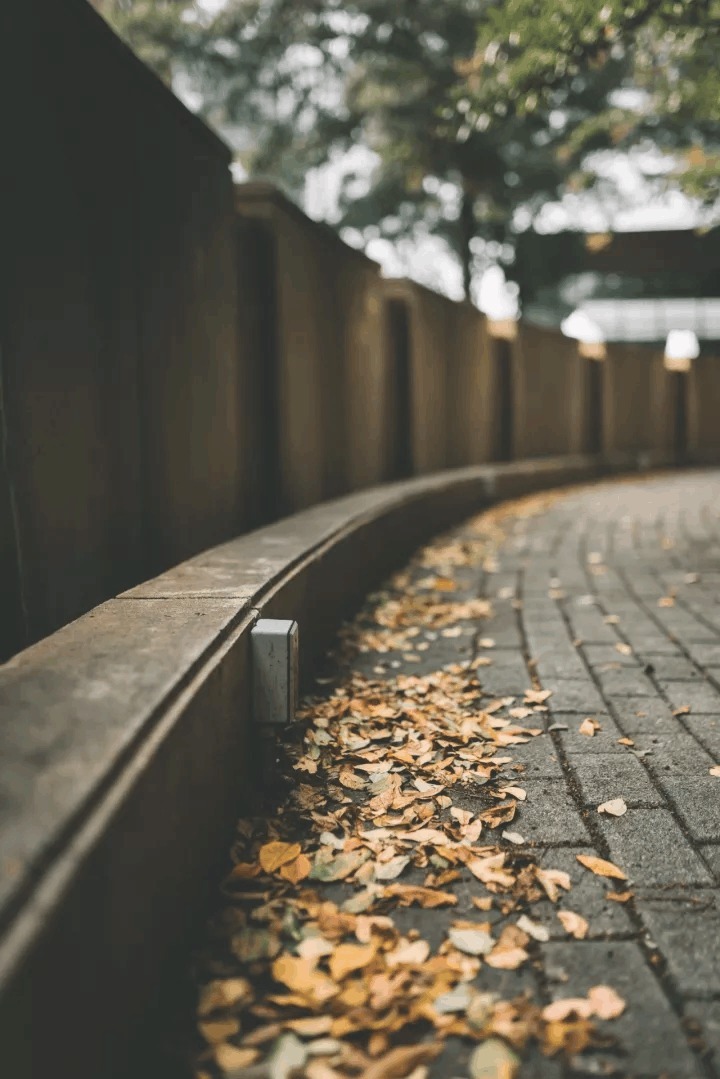 登鹳雀楼|诗词丨吟的是诗, 写的是字, 说的是人生